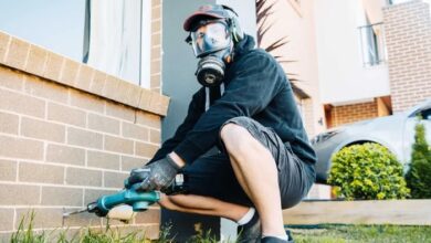 Ultimate Guide to Pest Removal Sydney & Professional Pest Treatment Services Ultimate Guide to Pest Removal Sydney & Professional Pest Treatment Services